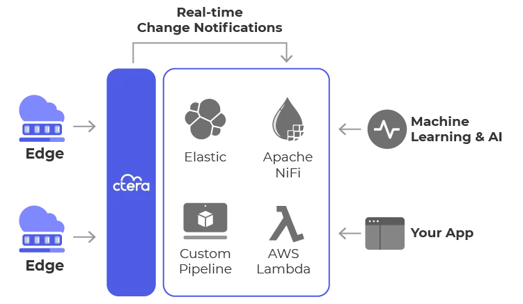 Custom Data Pipelines